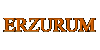 ERZURUM TRUNCU YAZI