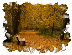0_126eaa_9ddb4bb1_orig