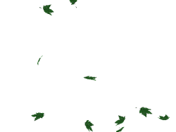 362776_0bc31