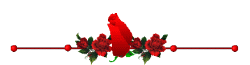 110330006_roseborderopen (2)