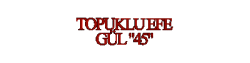 TOPUKLU EFE GÜL 45