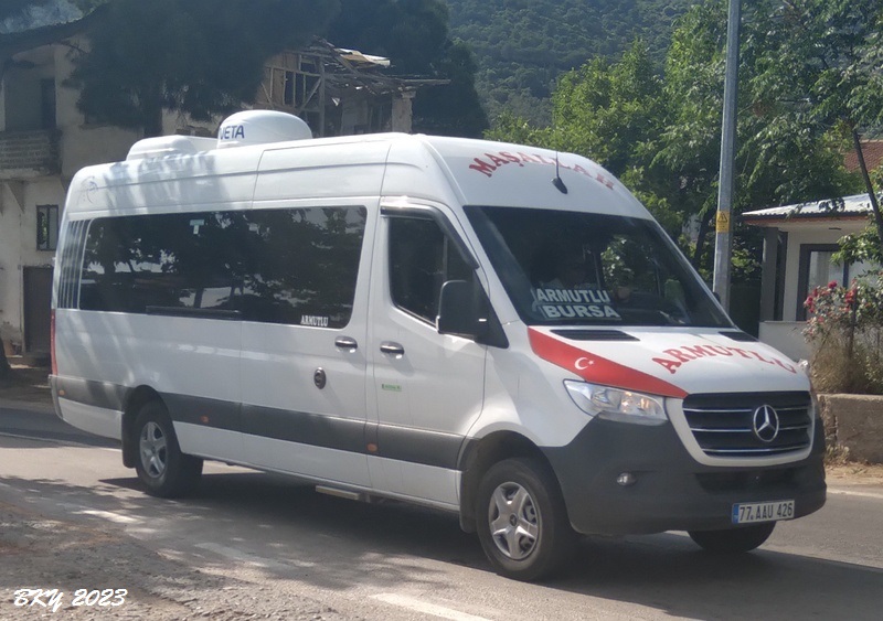 Armutlu - 77 AAU 426