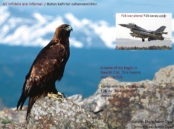 Stealth F16 Adem Öçal