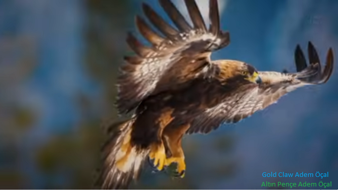 Altın Pençe Adem Öçal