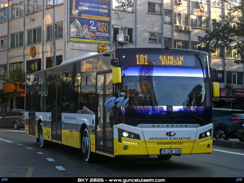 1000181521